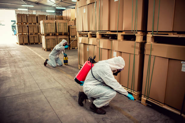 Best Wasp Removal Services  in Halesite, NY