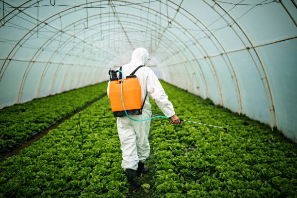 Best Best Pest Control Companies  in Halesite, NY