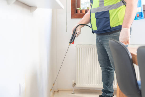 Best Local Pest Control Services  in Halesite, NY