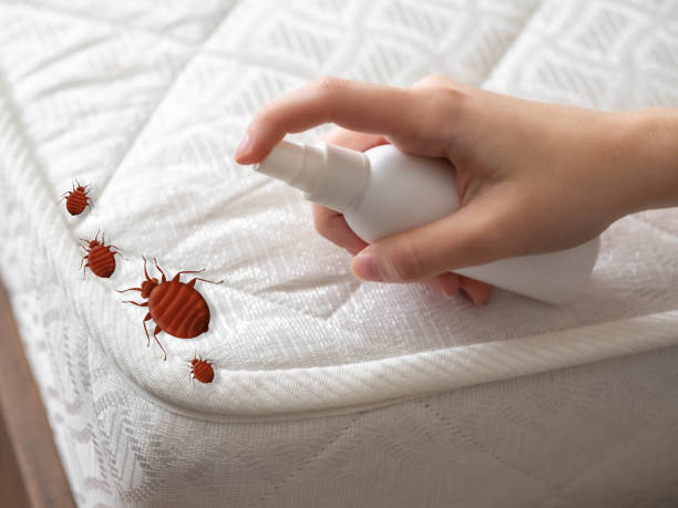 Best Flea Control Services  in Halesite, NY