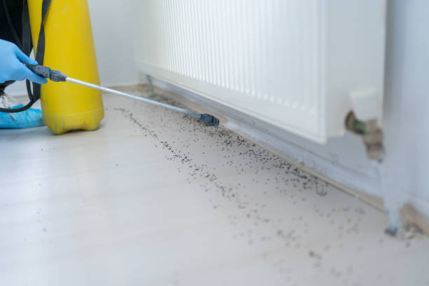Best Pest Removal Services  in Halesite, NY