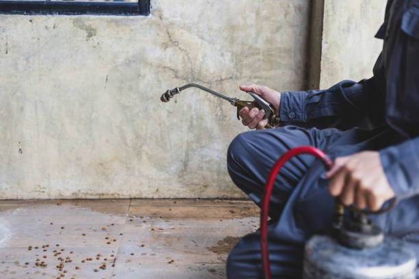 Best Mosquito Control Services  in Halesite, NY