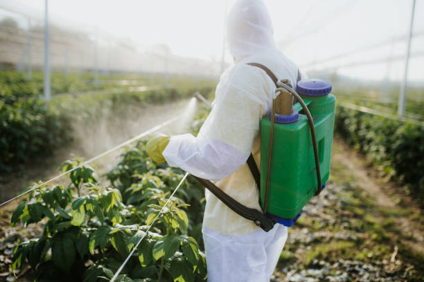 Professional Pest Control in Halesite, NY
